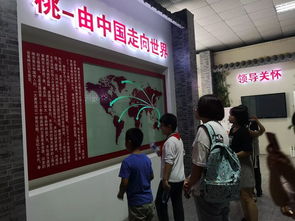 桃香引巧思，非遗润童心——奉贤钱桥学校暑期亲子体验活动侧记